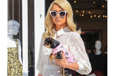 Paris Hilton Dandani...
