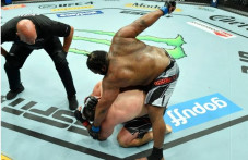 Petarung UFC Berbobot...