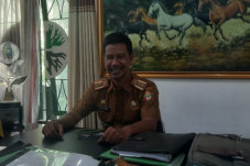 DLHD Wajo Galakkan Upaya...