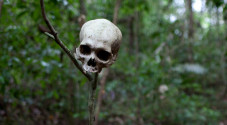 Hutan Paling Berbahaya...