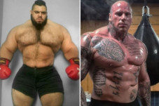 Sajad Gharibi, Hulk...