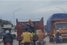 Viral Bajing Loncat...