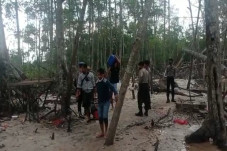 Tambang Ilegal di Hutan...