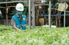 Electrifying Agriculture...