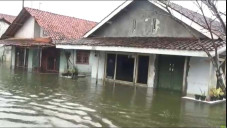 Banjir Rob di Pekalongan...
