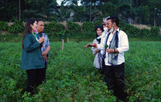 Kementan Tingkatkan...