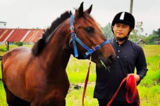 9 Nama Kuda Kesayangan...