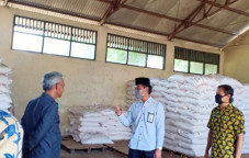 Harga Pupuk Subsidi...