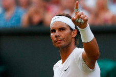 Optimistis Comeback,...