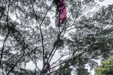 Diterpa Angin, Penerbang...