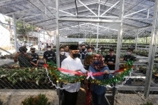 Green House Jadi Percontohan...