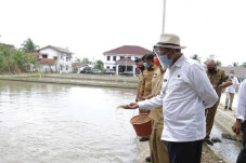 Potensi Kelautan dan...
