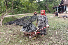 Komunitas NFT Dorong...