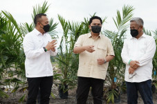 Erick Thohir Sebut PTPN...