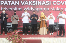 Universitas Widyagama...