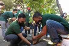 40 Ribu Pohon Disiapkan...