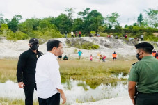 Jokowi Tanam Pohon di...