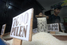 Harga dan Jenis Beras...