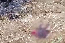 Brutal, Tentara Myanmar...