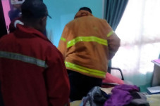 Heboh 2 Ular Cobra Menyelinap...