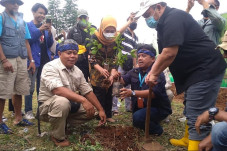 77.000 Hektare Lahan...