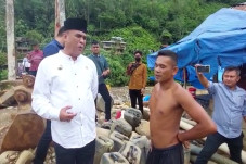 Sidak Tambang Emas Ilegal,...