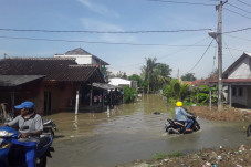 Dihantam Banjir, 236...