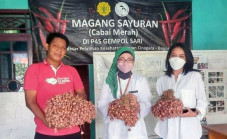 Petani Milenial Tangerang...
