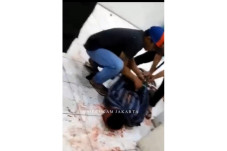 Pelaku Perampokan Pegadaian...