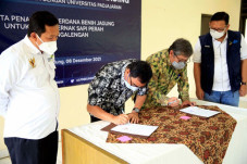 Sinergi LPDB-KUMKM dan...
