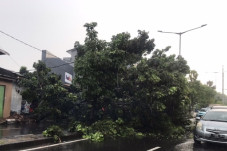 Kebon Jeruk Dikepung...