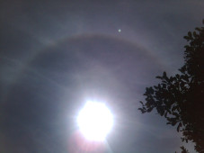 Bulan Bercincin Muncul...