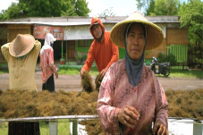 Dukung Rumput Laut Indonesia...