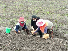 Momen Puan Maharani...
