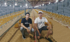Aplikasi Chickin Smart...