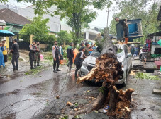 Kota Malang Diterjang...
