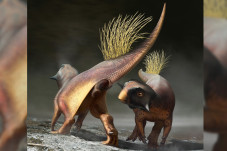 10 Penemuan Dinosaurus...