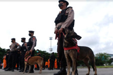 Polisi Tegaskan Euforia...