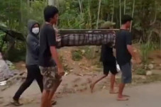 Bocah 8 Tahun Ditemukan...
