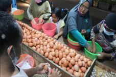 Peternak Jatim Sebut...