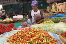 Jelang Tahun Baru, Harga...