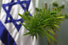 Produsen Obat Israel...