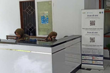 Pemkab Luwu Utara Terapkan...