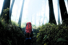 Kisah Horor Pendaki...