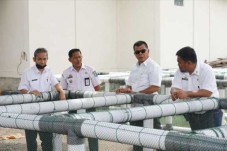 Kelompok Tani di Bulukumba...