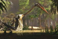 Dinosaurus Terbang Terbesar...