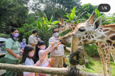 Liburan Akhir Pekan,...
