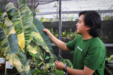 Jeli Melihat Peluang...