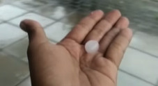 Surabaya Diguyur Hujan...