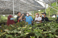 Mentan SYL Ingin Minimal...